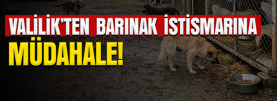 Valilik'ten Müdahale!