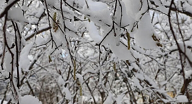 3 Günlük Don Kabusu Başlıyor!