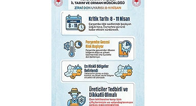 Sakarya’da Zirai Don Alarmı!