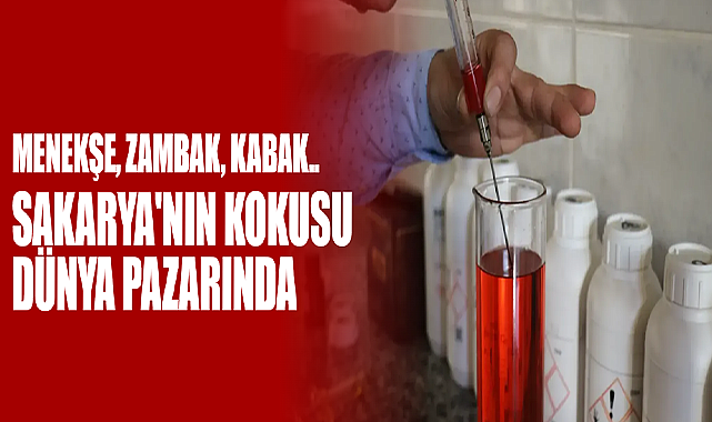 Sakarya'nın Kokusu Dünya Pazarında