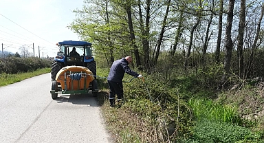 Sapanca’da Larva İle Mücadele Çalışmaları