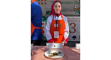 Serdivanlı Öğrencilerden Uluslararası Yarışmada Büyük Başarı