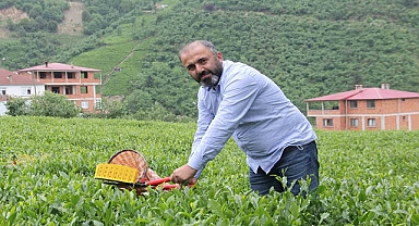 Çay Üreticileri Yaş Çay Alım Fiyatındaki Artış Sonrası Kuru Çaya Da Zam Bekliyor