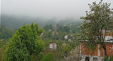 Hendek'in Yüksek Kesimlerinde Bahar Ve Sis Bir Arada