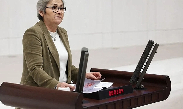 Ayça Taşkent'ten ''YENİ Parti'' Açıklaması