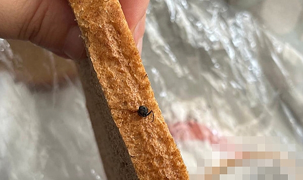 Sapanca'da Mide Bulandıran İddia: Ekmekten Sinek Kafası Çıktı!
