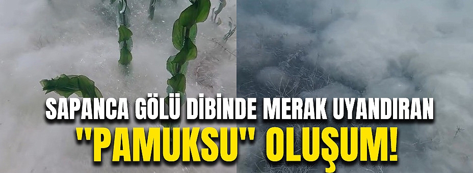 Sapanca Gölü Dibinde Merak Uyandıran